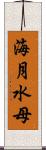 海月 Scroll