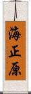海正原 Scroll