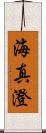 海真澄 Scroll