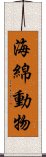 海綿動物 Scroll