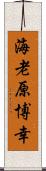 海老原博幸 Scroll