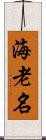海老名 Scroll
