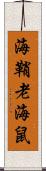海鞘 Scroll