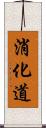消化道 Scroll