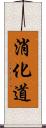 消化道 Scroll