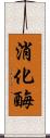 消化酶 Scroll