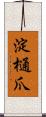 淀樋爪 Scroll