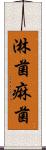 淋菌 Scroll
