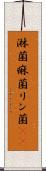 淋菌 Scroll
