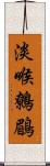 淡喉鷯鶥 Scroll