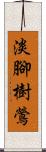 淡腳樹鶯 Scroll