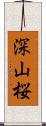 深山桜 Scroll