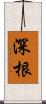 深根 Scroll