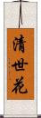 清世花 Scroll