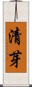 清芽 Scroll