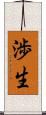 渉生 Scroll