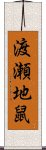 渡瀬地鼠 Scroll