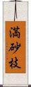 満砂枝 Scroll