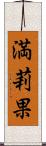 満莉果 Scroll