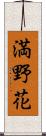 満野花 Scroll