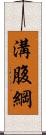 溝腹綱 Scroll