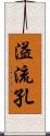 溢流孔 Scroll