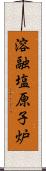 溶融塩原子炉 Scroll