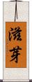 滋芽 Scroll