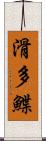 滑多鰈 Scroll