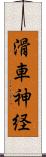 滑車神経 Scroll