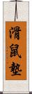 滑鼠墊 Scroll