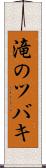 滝のツバキ Scroll