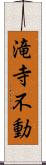 滝寺不動 Scroll