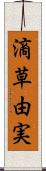 滴草由実 Scroll