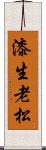 漆生老松 Scroll