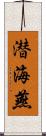 潜海燕 Scroll