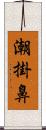 潮掛鼻 Scroll