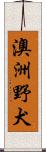 澳洲野犬 Scroll