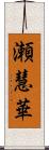 瀬慧華 Scroll