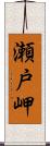 瀬戸岬 Scroll