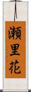 瀬里花 Scroll
