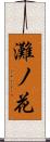 灘ノ花 Scroll