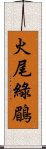 火尾綠鶥 Scroll