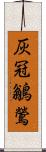 灰冠鶲鶯 Scroll