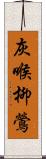 灰喉柳鶯 Scroll