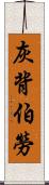 灰背伯勞 Scroll