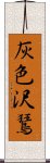 灰色沢鵟 Scroll