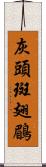 灰頭斑翅鶥 Scroll