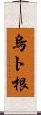 烏ト根 Scroll