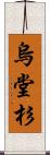 烏堂杉 Scroll